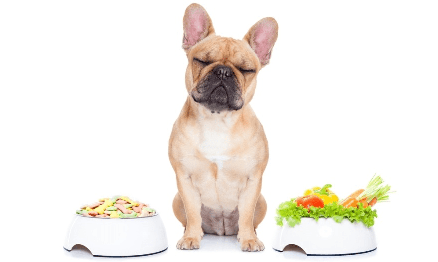 what vegetables can french bulldogs eat