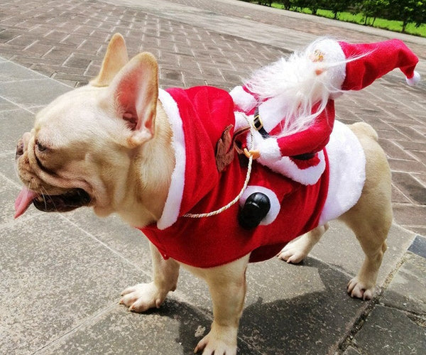french bulldog christmas dress Christmas Clothes French Bulldog Christmas Costume Santa Costume Abbylike Dog Cute Puppy Christmas Outfits Dog