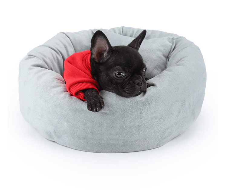 French Bulldog Beds Frenchie Complex Shop