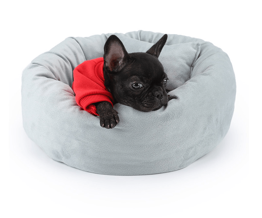 French Bulldog Beds | Frenchie Complex