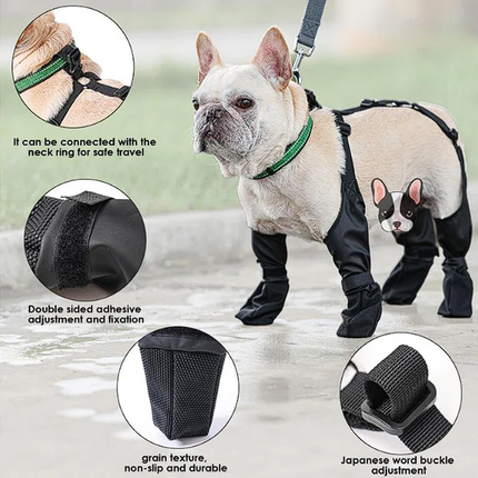 French Bulldog Footwear Paws Protector - Frenchie Complex Shop