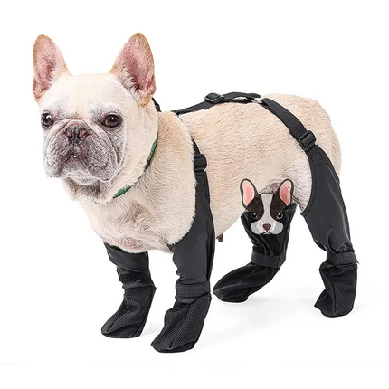 French Bulldog Footwear Paws Protector - Frenchie Complex Shop