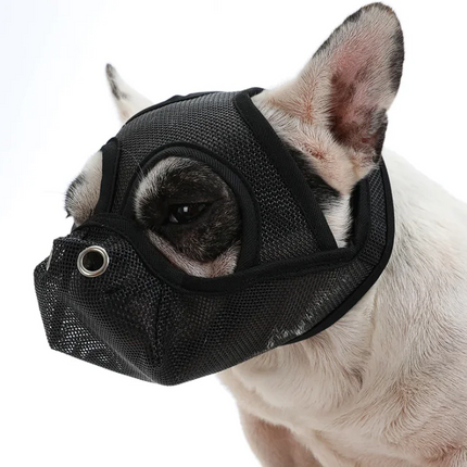 Premium French Bulldog Muzzles - Black / S - Frenchie Complex Shop