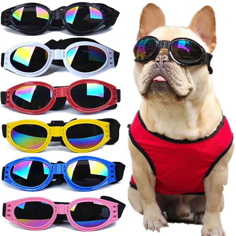 UV French Bulldog Sunglasses - Frenchie Complex Shop