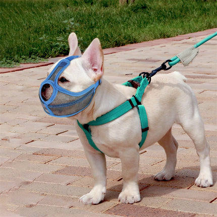 Vet Muzzle for French Bulldogs - Frenchie Complex Shop