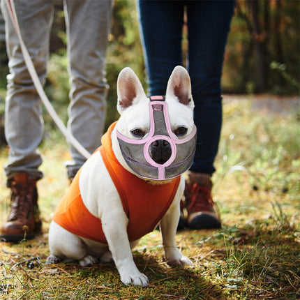 Vet Muzzle for French Bulldogs - Frenchie Complex Shop