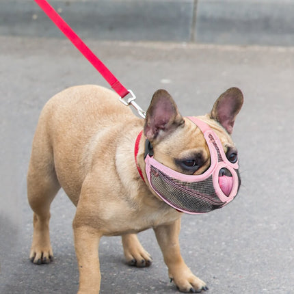 Vet Muzzle for French Bulldogs - Frenchie Complex Shop