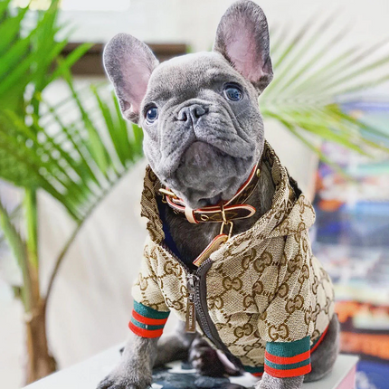 Luxury French Bulldog Jacket - Frenchie Complex Shop