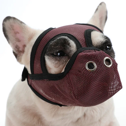 Premium French Bulldog Muzzles - Brown / S - Frenchie Complex Shop