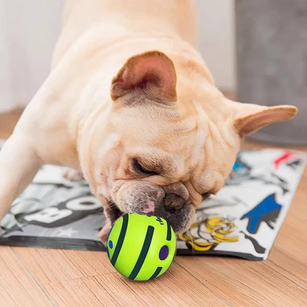 Self Rolling French Bulldog Toy Ball - Frenchie Complex Shop