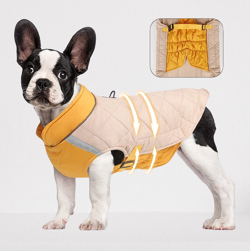 Ultra Quality French Bulldog Vest - Frenchie Complex Shop