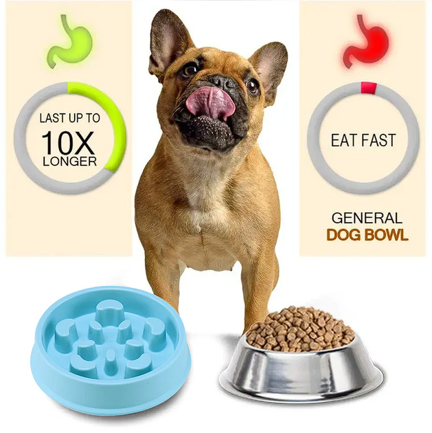 French bulldog feeding hot sale bowl