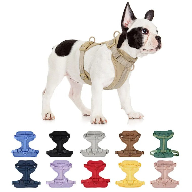 Luxury French Bulldog Harnesses - Frenchie Complex Shop