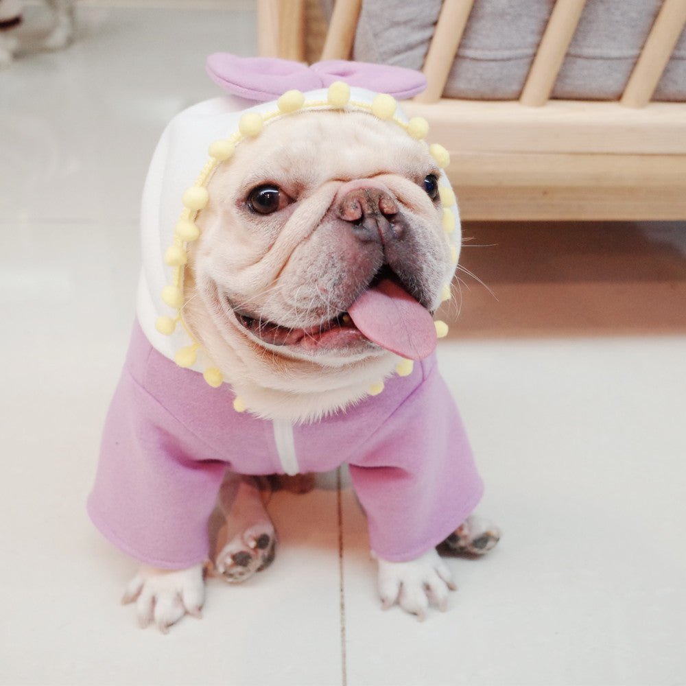Princess French Bulldog Sweater - Frenchie Complex Shop