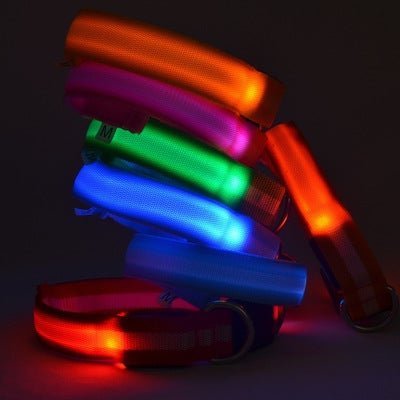 LED Dog Collar - Frenchie Complex Shop