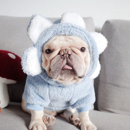 Flower French Bulldog Sweater - Blue / S - Frenchie Complex Shop