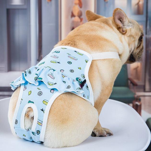 Menstrual French Bulldog Pants Frenchie Complex menstrual-french-bulldog-pants-frenchie-complex