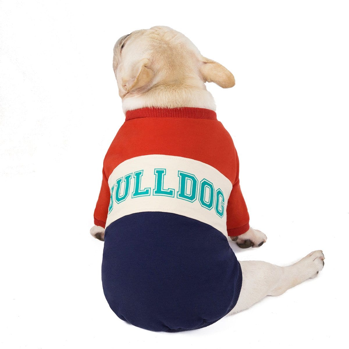 Printed Bulldog Sweater - Red / S - Frenchie Complex Shop