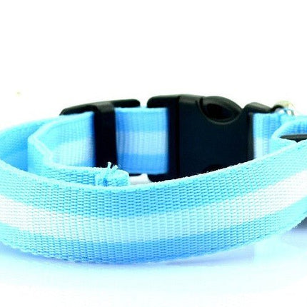 LED Dog Collar - Blue / XS NECK 28-38 CM - Frenchie Complex Shop