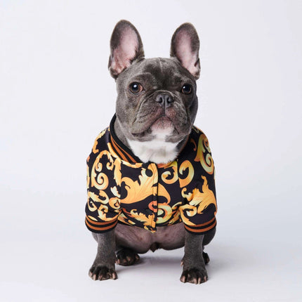French Bulldog Gold Jacket - S - Frenchie Complex Shop