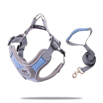 Reflective Frenchie Harness and Leash - Sky Blue / L - Frenchie Complex Shop