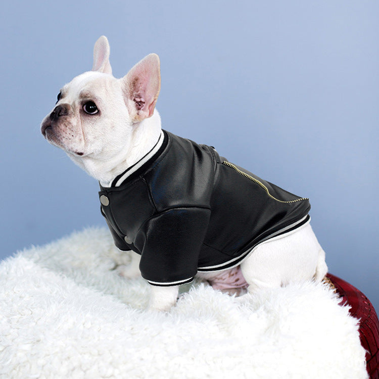 Leather French Bulldog Jacket - Frenchie Complex Shop