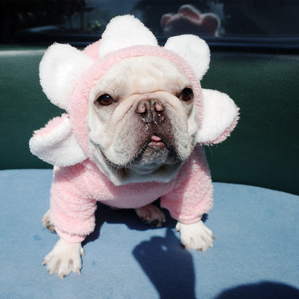 Flower French Bulldog Sweater - Frenchie Complex Shop