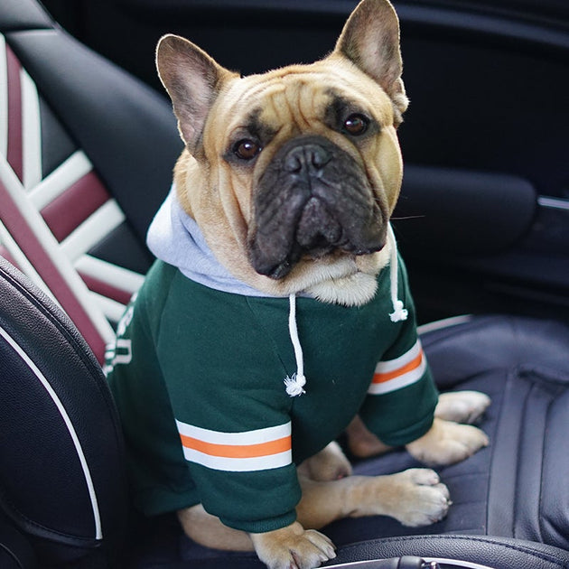 Football French Bulldog Hoodie Frenchie Complex Shop