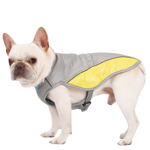 Premium French Bulldog Cooling Vest - Frenchie Complex Shop