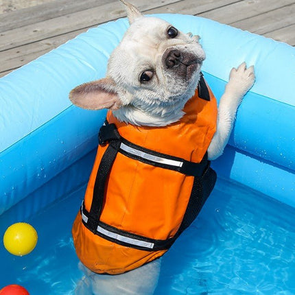 French Bulldog Life Vest - Orange / XXS - Frenchie Complex Shop