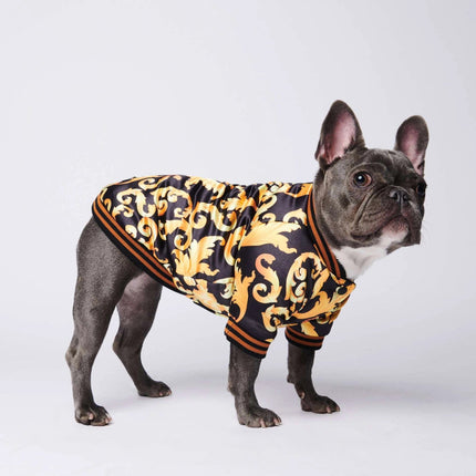 French Bulldog Gold Jacket - S - Frenchie Complex Shop