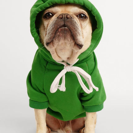 Frog French Bulldog Hoodie - Frenchie Complex Shop