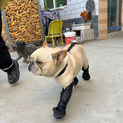 French Bulldog Footwear Paws Protector - Frenchie Complex Shop