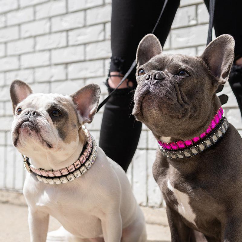 Luxury French Bulldog Collars - Frenchie Complex Shop