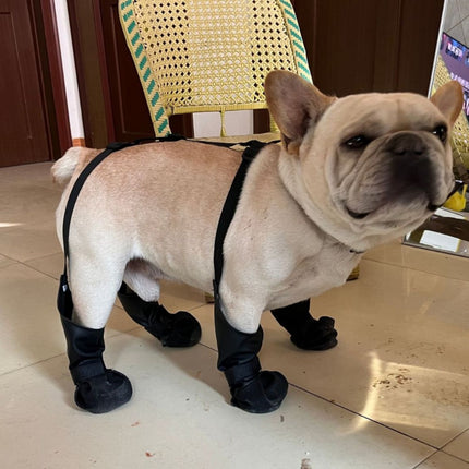 French Bulldog Footwear Paws Protector - Frenchie Complex Shop