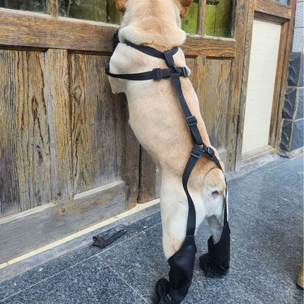 French Bulldog Footwear Paws Protector - Frenchie Complex Shop