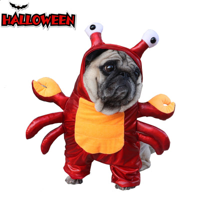 Crab French Bulldog Costume - Frenchie Complex Shop