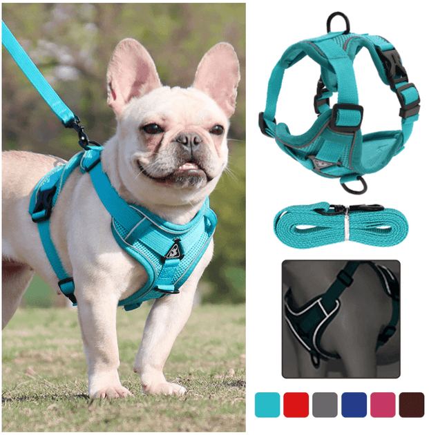 Dog harness deals for french bulldog