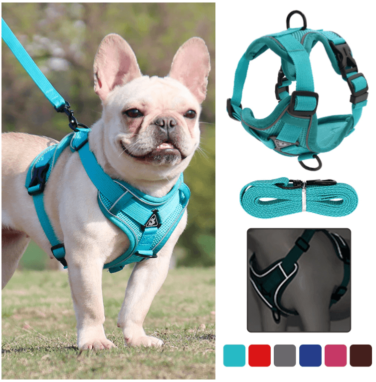 Breathable & Padded French Bulldog Harness and Leash - Frenchie Complex Shop