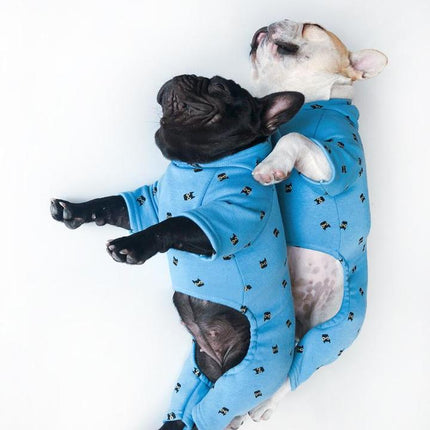 Bandito French Bulldog Hoodie - Frenchie Complex Shop