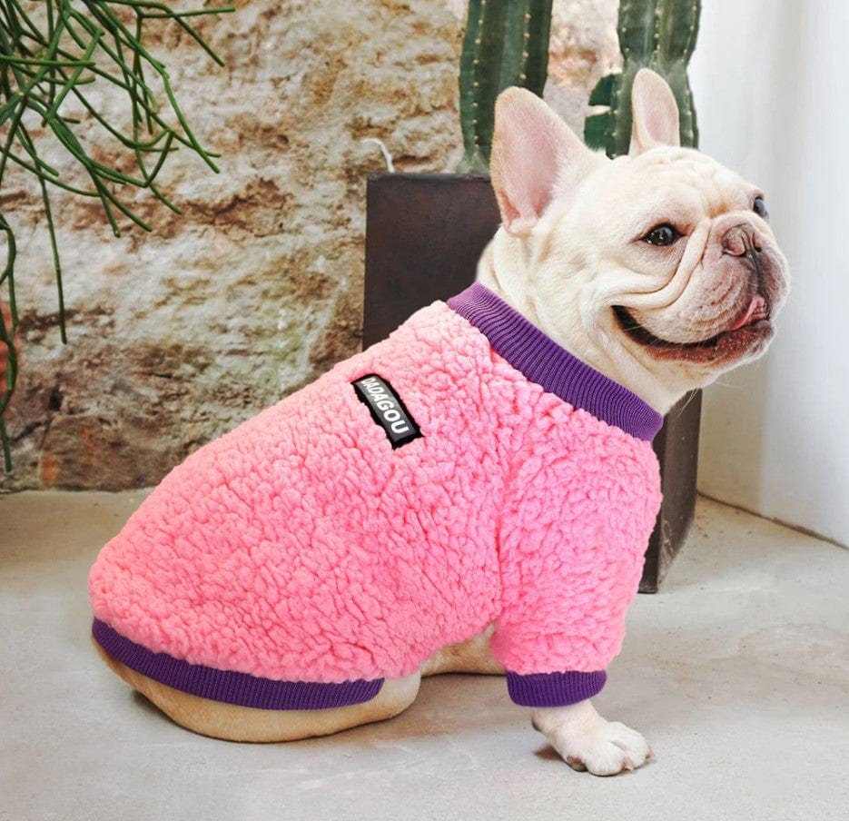 Winter French Bulldog Sweater - Frenchie Complex Shop