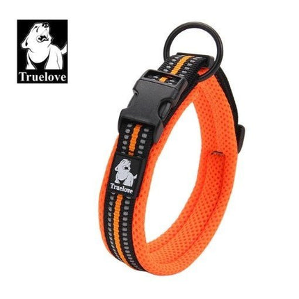 Reflective Dog Collar - Orange / XXS - Frenchie Complex Shop