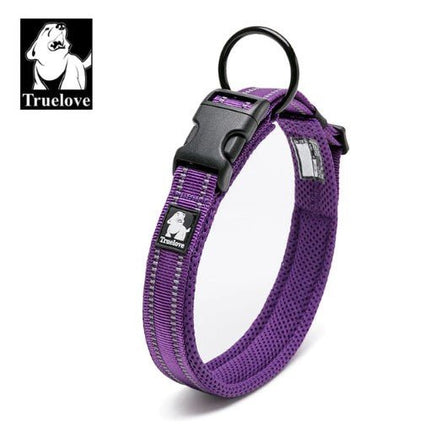 Reflective Dog Collar - Purple / XXS - Frenchie Complex Shop