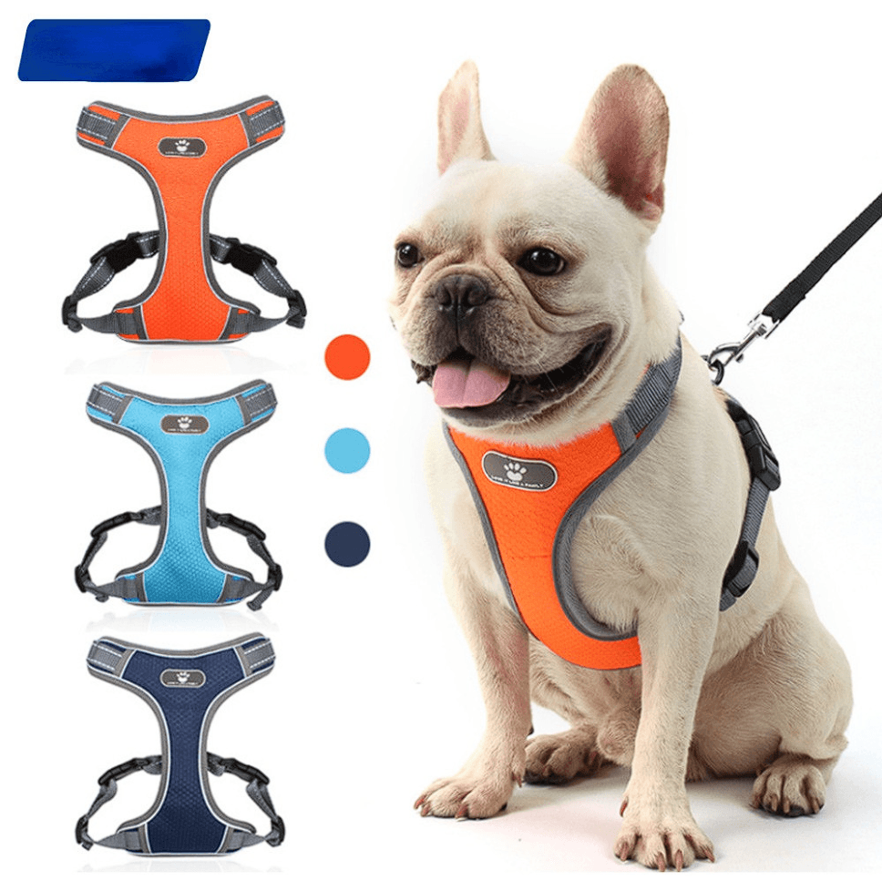 Love It French Bulldog Harnesses - Frenchie Complex Shop