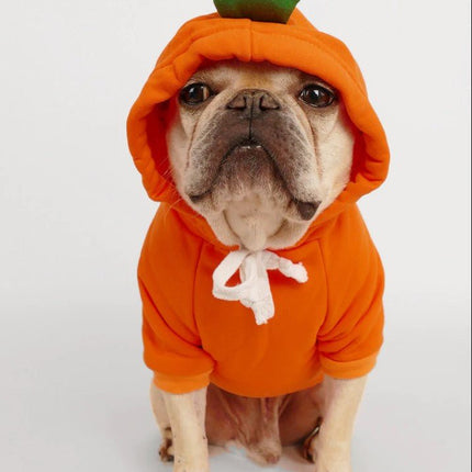 Pumpkin French Bulldog Hoodie - XS - Frenchie Complex Shop