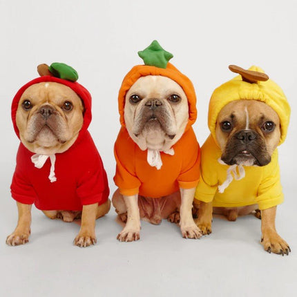Pumpkin French Bulldog Hoodie - Frenchie Complex Shop