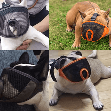 Muzzle for French Bulldogs - Frenchie Complex Shop