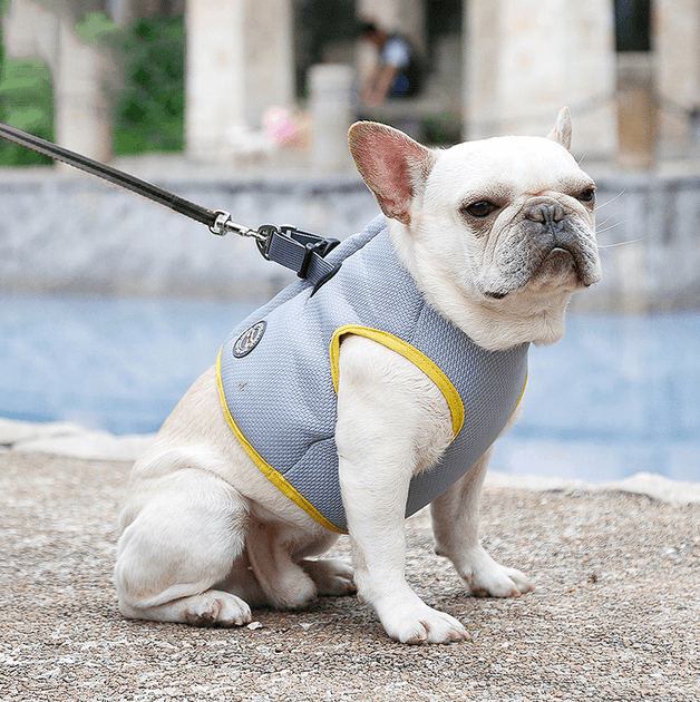 Frenchie cooling hot sale vest