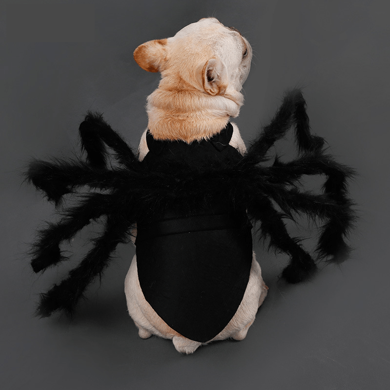 Black Spider Frenchie Costume - Frenchie Complex Shop