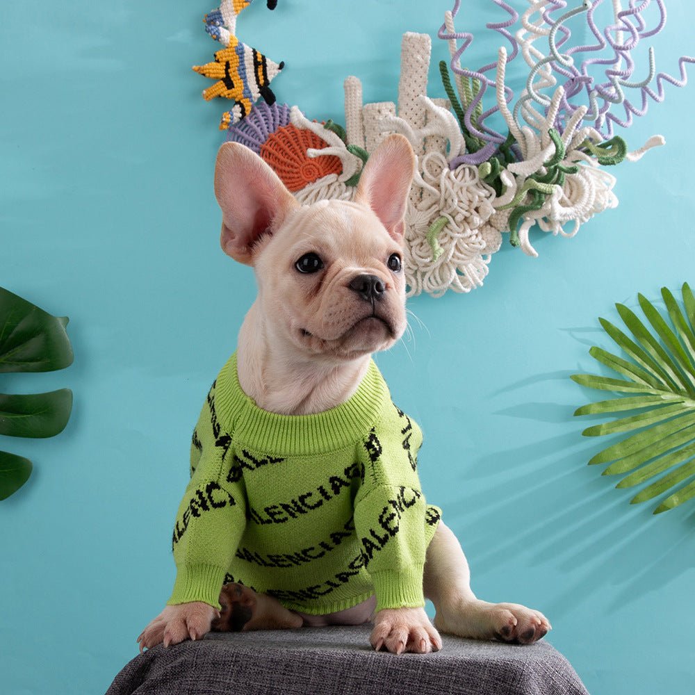 Warm Knitted Frenchie Sweater - Frenchie Complex Shop
